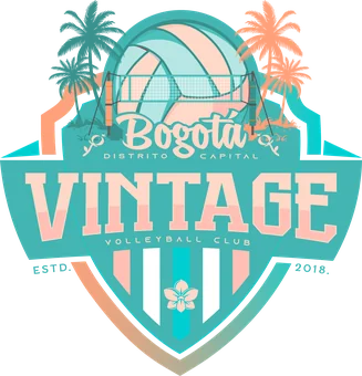 Vintage Volleyball Club